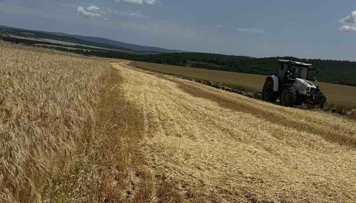 Комбинацията от пролетен мраз и летни горещини съсипа културите