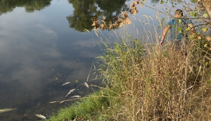 РИОСВ - Пловдив уведоми полицията и изиска проверки на водовземанията