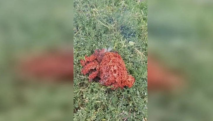 Експерти от БАН разкриха произхода на мистериозния обект, паднал в частен двор в Якоруда – вероятно става дума за отпадък от изкуствен спътник