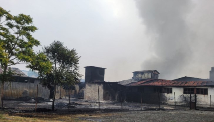 Замерванията на въздуха показаха стойности под санитарния минимум Замерванията на въздуха показаха стойности под санитарния минимум