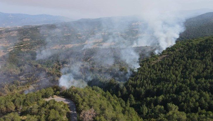 Над 30 хиляди декара са вече изпепелени, очакват се четири хеликоптера за гасенето