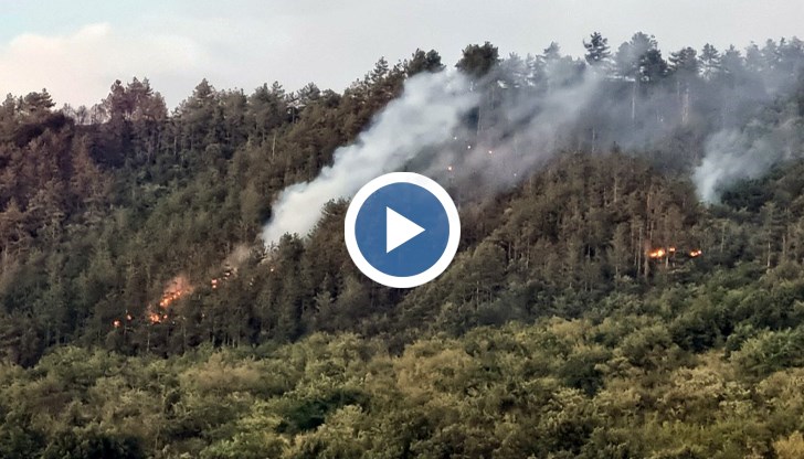 Втори ден продължава борбата със стихията в труднодостъпен терен