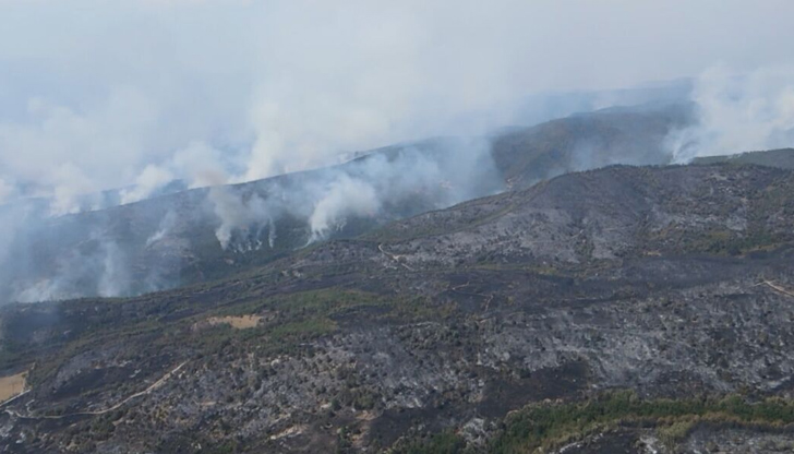 Над 60 хиляди декара са засегнати само за месец, залесяването