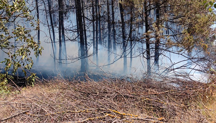 Собственичка на крайна къща, близо до гората, горила кабелиГолемият пожар,