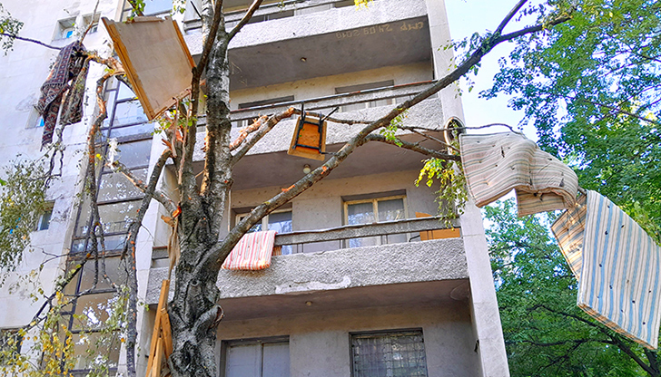 Снимки показват съсечено дърво и разхвърляни отпадъци около сградатаПотресаващи снимки