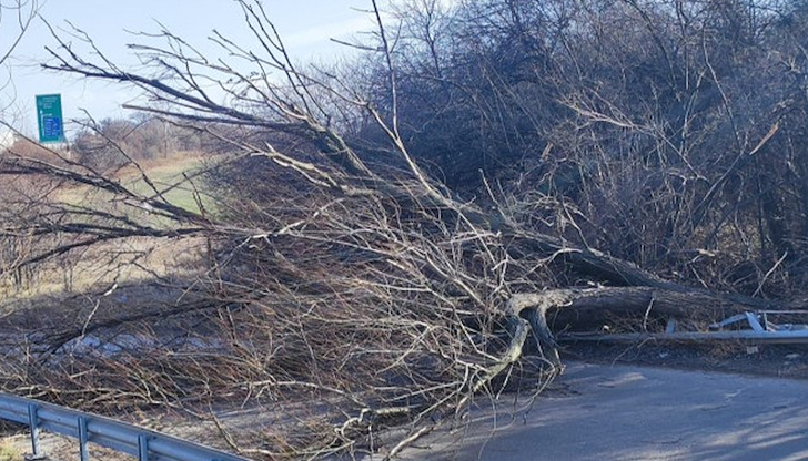 Образували са се опашки в двете посоки на път I-4