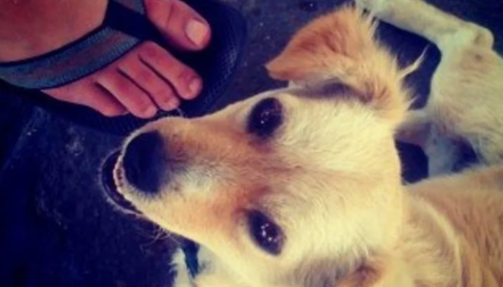 От Codename до Instagram - как започна революцията в споделянето