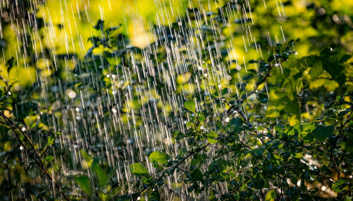 След обяд ще се развива купеста облачност, в Родопите -