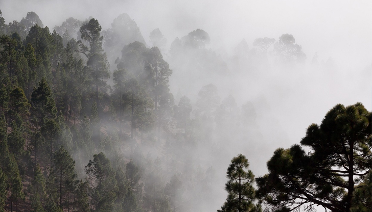 Движението на огъня към България е спряноМащабен горски пожар бушува