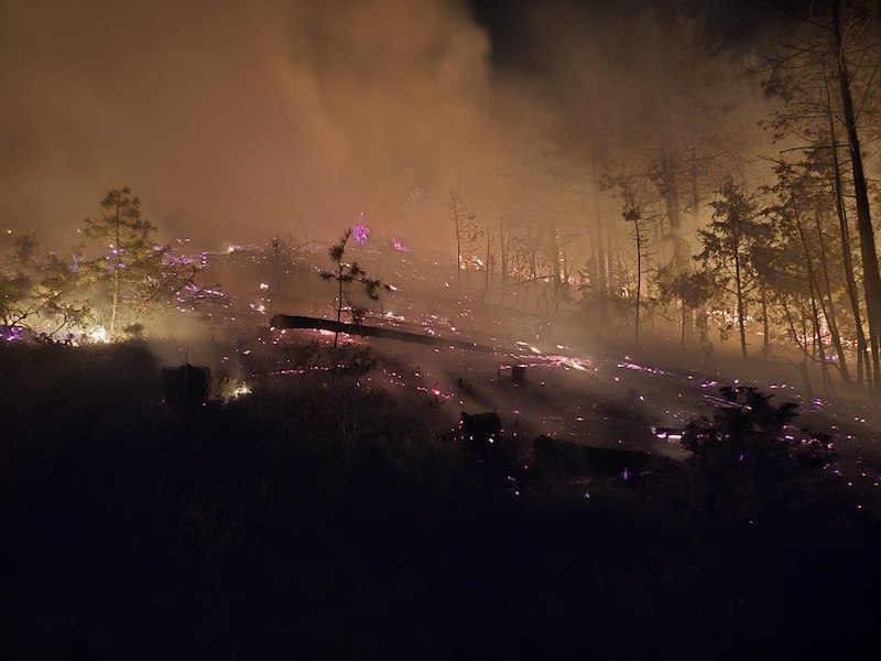 Огънят обхвана над 200 декара гораГолям горски пожар продължава да