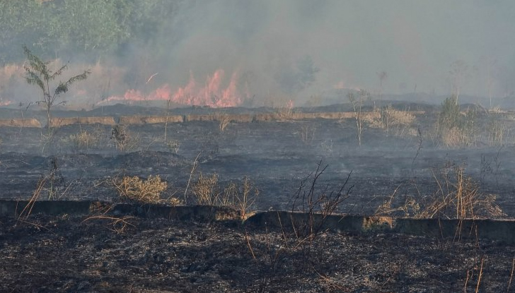 Евакуираха хора от три села, няма пострадалиПожарът в Трънско достигна