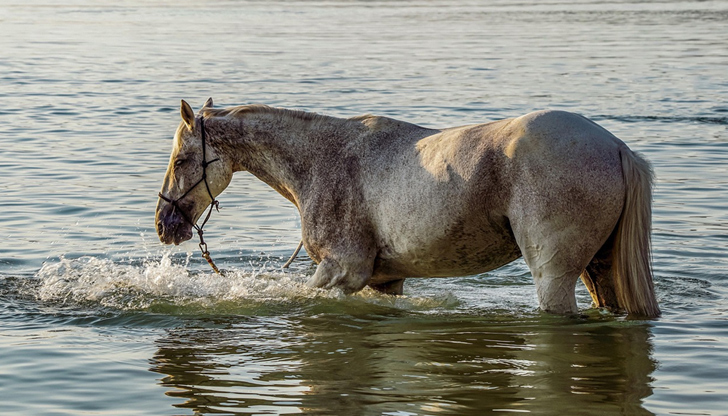 Облекчение идва в края на месецаДнес, на празника Илинден, времето