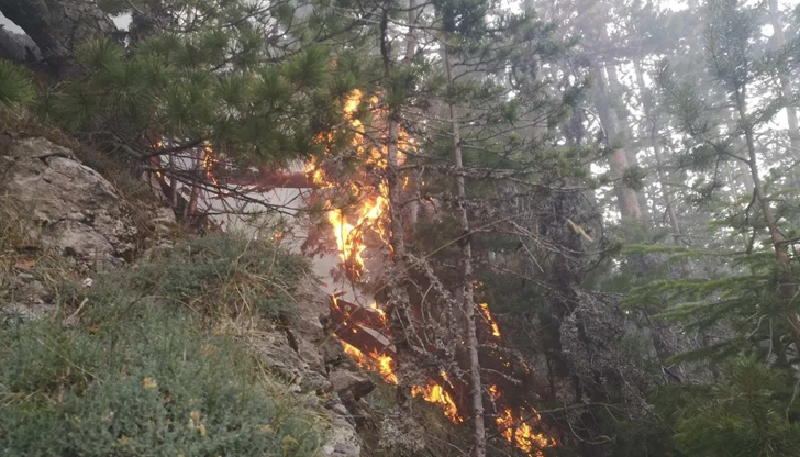 Периметърът на пламъците се е разширил на северСитуацията с големия