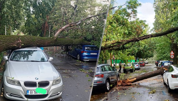 Код червено, скорост на вятъра до 90 км/ч, полети пренасочени