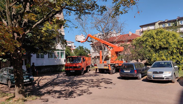 Екипи на Паркстрой и Вектор работят по сигнали от граждани