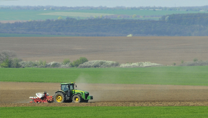 Ръст от 15,3% спрямо предходната година показват данните на НСИЗемеделската