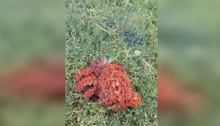 Лабораториите в България са в затруднение да изследват материала заради