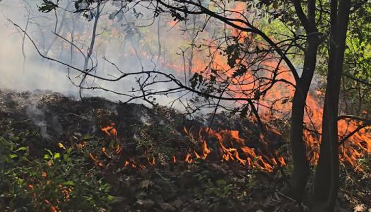 Пожарът край Каленик е обградил селотоГолям пожар се е разгорял
