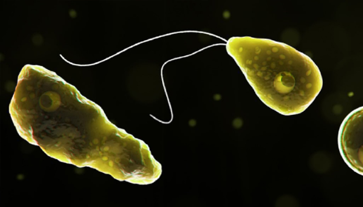 12-годишното момче се е заразило с изключително рядката амеба в