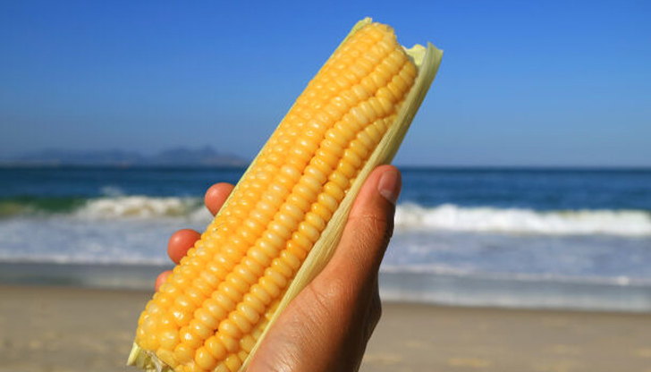 Плажната царевица поскъпна 150 процента за десет годиниПлажната царевица е