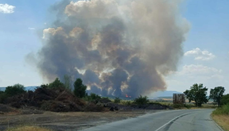 Четири екипа на пожарната се борят с огъня в дъбова