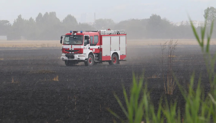 Инцидентът стана след силна гръмотевична буряПовече от 20 крави са