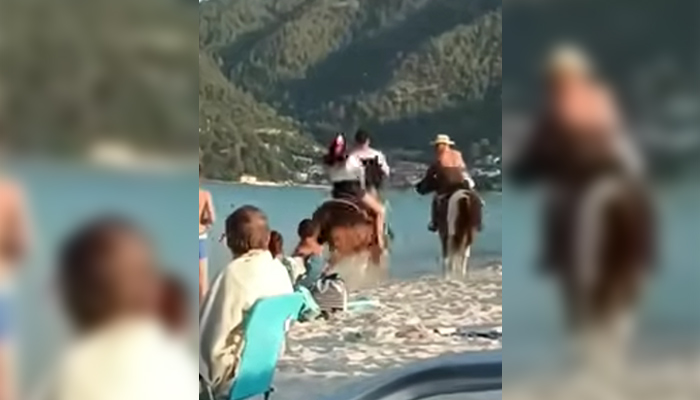 5-годишно момиче е в болница с травми в главата, собственикът