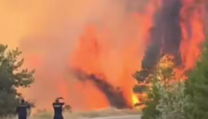 Видеокадри показват как дърветата изгарят мигновено, а пожарникари бягат от