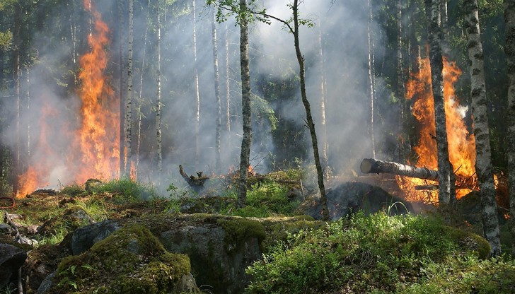 Китира и Евия са сред най-засегнатите райониГърция продължава да се