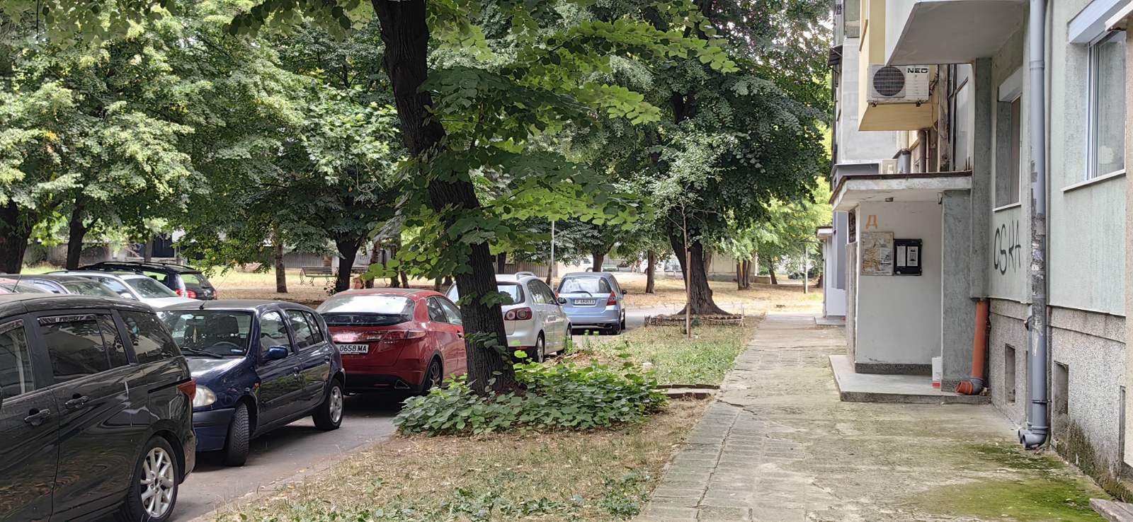 Инцидентът е станал в градинката пред блок ЕлаДърво падна тази