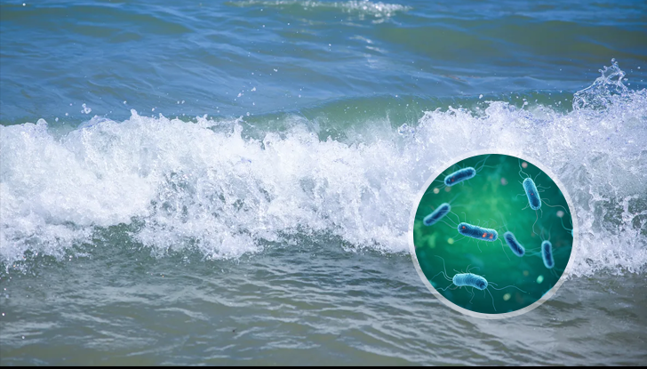 Християна Бацелова: Спазвайте хигиена и няма да има проблем с