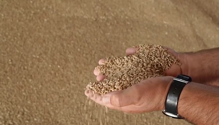 Земевладелци от Южна България настояват цената да достигне 400 лева