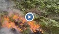 Пожарът в Национален парк "Рила" се разраства