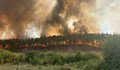 Близо 19 хиляди декара гори са изгорели в Югоизточна България
