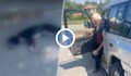 Мъж влачи куче със синджир зад колата си в село Лесидрен