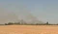 Потушиха пожара в защитената местност край Тутракан