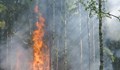 Локализираха пожара в Рупите