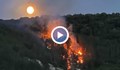 Овладяха пожара в Шуменското плато