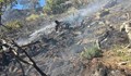 Пожарът в Пирин отново се разгаря