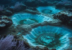 Солните басейни убиват морския живот но крият тайни за извънземния