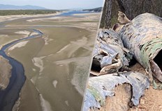 Лидерът на Непокорна България предлага четири спешни действия за справяне