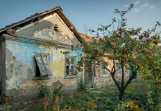 Петър Иванов Страната ни е световен шампион по изчезване на