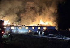 Голяма част от кравите са останали в горящата сградаПожар избухна