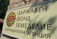 Помощта е за 254 земеделски стопани чиито череши вишни и