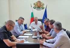 Кметът обясни защо сърните са останали спокойни в района на