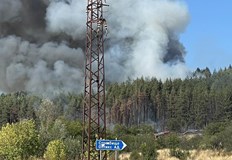Екипи и доброволци се борят с огнената стихияПожар избухна в
