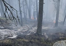 Над 100 души се борят с огъня площта надхвърля 100