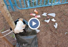 Тези прояви застрашават системата за напояване на новозасадените фиданкиНеизвестни лица