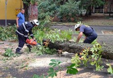 Екипи на Паркстрой и Комунални дейности работят по почистването на