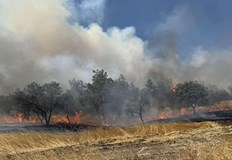 Фермерите ще получат до 50 хиляди евро обезщетение за загуби